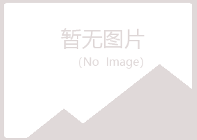 琼山字迹服务有限公司